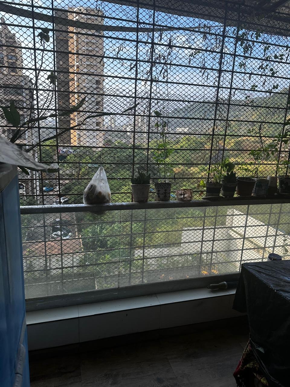 WhatsApp Image 2025-11-06 at 12.11.04_d75fb47a